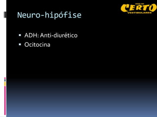 Neuro-hipófise

 ADH: Anti-diurético
 Ocitocina
 