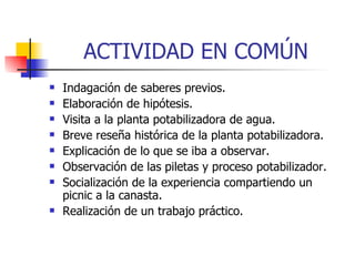 ACTIVIDAD EN COMÚN Indagación de saberes previos. Elaboración de hipótesis. Visita a la planta potabilizadora de agua. Breve reseña histórica de la planta potabilizadora. Explicación de lo que se iba a observar. Observación de las piletas y proceso potabilizador. Socialización de la experiencia compartiendo un picnic a la canasta. Realización de un trabajo práctico. 
