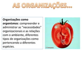 AS ORGANIZAÇÕES...Organizações como organismos: compreender e administrar as "necessidades" organizacionais e as relações com o ambiente, diferentes tipos de organizações como pertencendo a diferentes espécies.