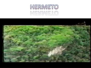 HERMETO