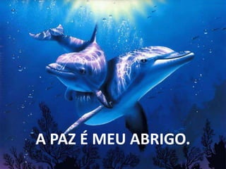 A PAZ É MEU ABRIGO.
 