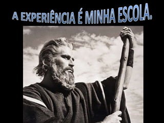 MELHORES PALESTRANTES DO BRASIL- JULIO CESAR -Aulas da vida