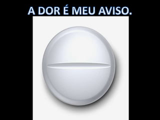 MELHORES PALESTRANTES DO BRASIL- JULIO CESAR -Aulas da vida