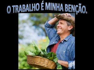 MELHORES PALESTRANTES DO BRASIL- JULIO CESAR -Aulas da vida