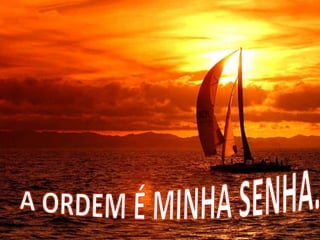 MELHORES PALESTRANTES DO BRASIL- JULIO CESAR -Aulas da vida