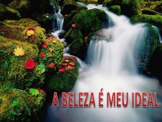 MELHORES PALESTRANTES DO BRASIL- JULIO CESAR -Aulas da vida