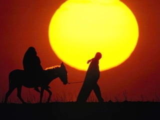 MELHORES PALESTRANTES DO BRASIL- JULIO CESAR -Aulas da vida