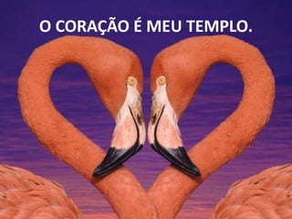 O CORAÇÃO É MEU TEMPLO.
 