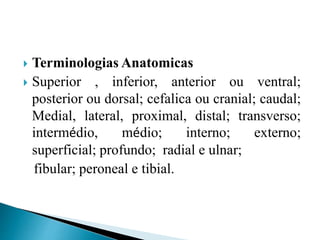 aulas de anatomia e fisiologia -Farmacia [Guardado automaticamente].pptx
