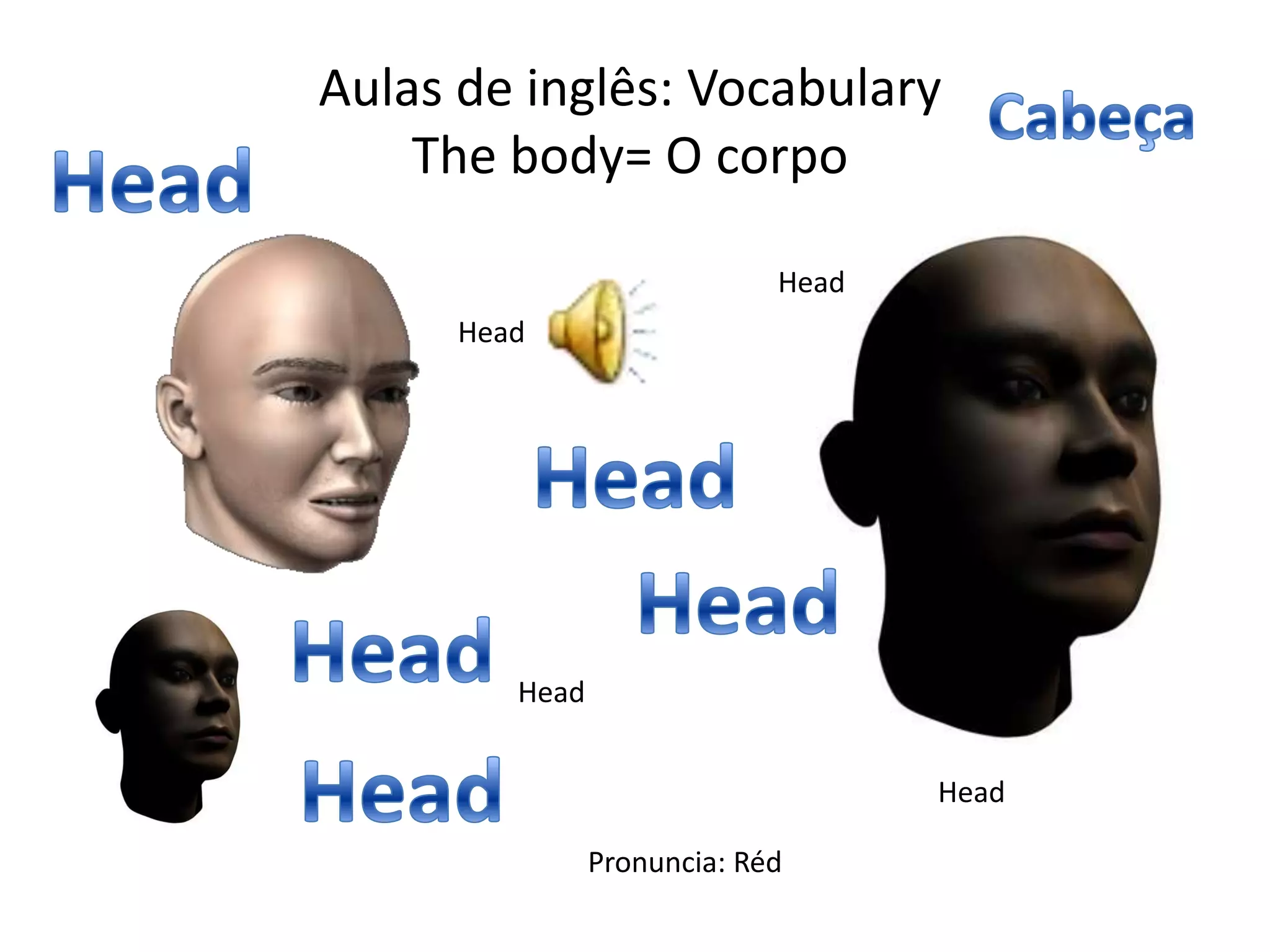 Aulas de inglês: Vocabulary
The body= O corpo
Head
Head
Head
Head
Pronuncia: Réd