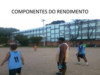 COMPONENTES DO RENDIMENTO
 