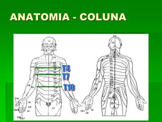 Dr. Mônica Koncke Fiuza Parolin
ANATOMIA - COLUNA
 