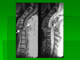 Dr. Mônica Koncke Fiuza Parolin
 