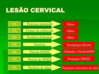 LESÃO CERVICAL
C4 Paralisia diafragma Óbito
C5
C6
C7
Paralisia Tetraplegia flácida
T1
Paresia MMSS
Paresia de MMSS
Paralisia de mãos
Abdução e flexãoMMS
Pronação MMSS
Pequenos músculos da mão
C1
C2
Processo odontoide
Fratura do enforcado Óbito
Óbito
 