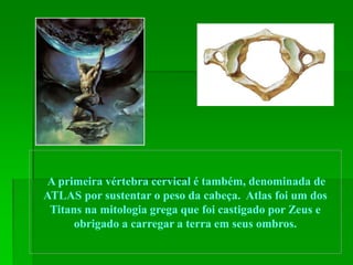 A primeira vértebra cervical é também, denominada de
ATLAS por sustentar o peso da cabeça. Atlas foi um dos
Titans na mitologia grega que foi castigado por Zeus e
obrigado a carregar a terra em seus ombros.
 