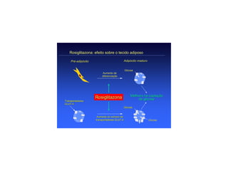 Rosiglitazona: efeito sobre o tecido adiposo

    Pré-adipócito
    Pré-                                     Adipócito maduro


                                             Glicose
                        Aumento da
                        diferenciação




                                                  Melhora na captação
                    Rosiglitazona                     de glicose
Transportadores
GLUT-4
GLUT-
                                             Glicose


                     Aumento do número de
                    transportadores GLUT-4
                                    GLUT-                       Glicose
 