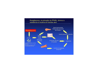 Rosiglitazona, via ativação do PPARγ, diminui a
            resistência à insulina em tecidos alvo


                                                    Baixa lipotoxicidade
                                                   Restauração da função
 Rosiglitazona                                         das células β


                                                                  Insulina plasmática reduzida
                                   Ácidos
                                   Graxos
     PPAR γ                        Livres
                                 diminuídos
                                 no plasma    Produção reduzida                 Euglicemia
                                                 de glicose
Adipócitos pequenos, insulino-
           pequenos, insulino-
sensíveis
                        TNFα
Expressão reduzida de TNFα
Taxa de lipólise reduzida

                                                     Aumento na captação
                                                         de glicose
 