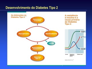 Desenvolvimento do Diabetes Tipo 2
 