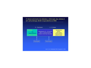 O desenvolvimento de diabetes e disfunção das células β
em camundongo db/db é equivalente ao DM2



                   6 – 8 semanas                      4 – 6 meses

  Obesidade                                                             hiperglicemia
                           hiperglicemia (12 – 25 mmol/l)
                                                   mmol/l)                 severa
            TGI
                              hiper- ou hipoinsulinemia
                              hiper-                                    (>25 mmol/l)
     hiperinsulinemia
                           células β insulínicas reduzidas             hipoinsulinemia
  Resistência insulínica                                               perda de peso




                 Prevenção                 Intervenção




                                          Lister CA, et al. Diabetologia 1998; 41 (Supplement 1):A660.
 