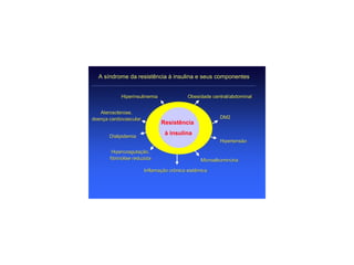 A síndrome da resistência à insulina e seus componentes


            Hiperinsulinemia               Obesidade central/abdominal


   Aterosclerose,
   Aterosclerose,
doença cardiovascular                                    DM2
                               Resistência

       Dislipidemia
                                 à insulina
                                                         Hipertensão

        Hipercoagulação,
        Hipercoagulação,
       fibrinólise reduzida                      Microalbuminúria

                        Inflamação crônica sistêmica
 
