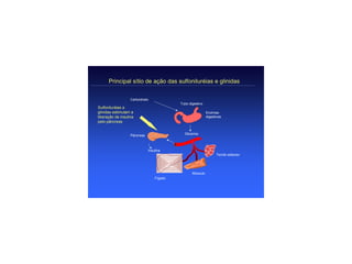 Principal sítio de ação das sulfoniluréias e glinidas


                   Carboidrato
                                           Tubo digestivo
Sulfoniluréias e
glinidas estimulam a                                        Enzimas
liberação de insulina                                       digestivas
pelo pâncreas


                   Pâncreas                  Glicemia



                              Insulina
                                                                  Tecido adiposo




                                                  Músculo
                                  Fígado
 