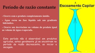 Período de razão constante
- Ocorre com o produto completamente úmido.
- Água escoa na fase líquida sob um gradiente
hidráulico.
- Ocorre um decréscimo no volume do produto igual
ao volume de água evaporada.
Este período não é observável em produtos
agrícolas, estes geralmente já se encontram no
período de razão decrescente, ao iniciar a
secagem.
13
 