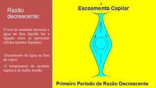 Razão
decrescente:
O teor de umidade decresce e
água na fase líquida faz a
ligação entre as partículas
sólidas (pontes líquidas).
Escoamento de água na fase
de vapor.
A temperatura do produto
supera a de bulbo úmido.
14
 