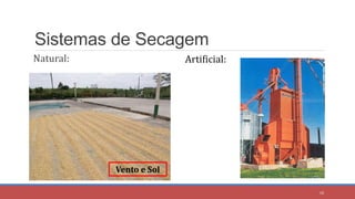 Sistemas de Secagem
Natural: Artificial:
Vento e Sol
18
 