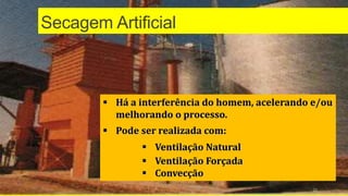 Secagem Artificial
 Há a interferência do homem, acelerando e/ou
melhorando o processo.
 Pode ser realizada com:
 Ventilação Natural
 Ventilação Forçada
 Convecção
21
 