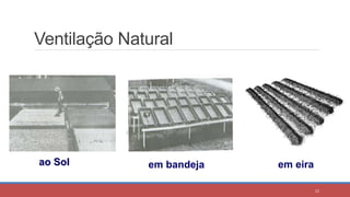 Ventilação Natural
ao Sol em eira
em bandeja
23
 