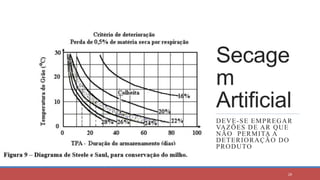 Secage
m
Artificial
DEVE-SE EMPREGAR
VAZÕES DE AR QUE
NÃO PERMITA A
DETERIORAÇÃO DO
PRODUTO
28
 