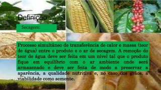 Definição
◦ Secagem:
Processo simultâneo de transferência de calor e massa (teor
de água) entre o produto e o ar de secagem. A remoção do
teor de água deve ser feita em um nível tal que o produto
fique em equilíbrio com o ar ambiente onde será
armazenado e deve ser feita de modo a preservar a
aparência, a qualidade nutritiva e, no caso dos grãos, a
viabilidade como semente.
4
 