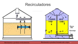 Recirculadores
40
Movimenta o produto verticalmente. Movimenta o produto levando até o topo.
 