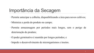 Importância da Secagem
◦ Permite antecipar a colheita, disponibilizando a área para novos cultivos;
◦ Minimiza a perda do produto no campo;
◦ Permite armazenagem por períodos mais longos, sem o perigo de
deterioração do produto;
◦ O poder germinativo é mantido por longos períodos; e
◦ Impede o desenvolvimento de microrganismos e insetos.
5
 