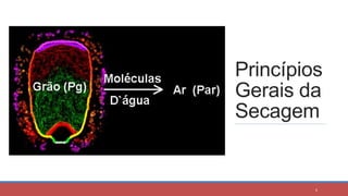 Princípios
Gerais da
Secagem
6
 