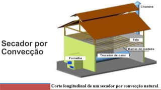 78
Secador por
Convecção
 