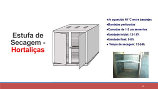 88
Estufa de
Secagem -
Hortaliças
 