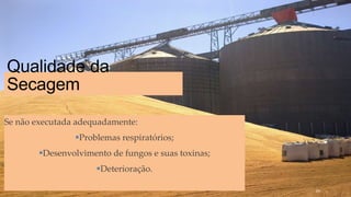 Qualidade da
Secagem
Se não executada adequadamente:
Problemas respiratórios;
Desenvolvimento de fungos e suas toxinas;
Deterioração.
89
 