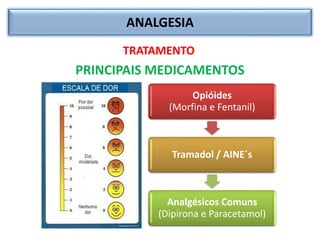 ANALGESIA
TRATAMENTO
PRINCIPAIS MEDICAMENTOS
Opióides
(Morfina e Fentanil)
Tramadol / AINE´s
Analgésicos Comuns
(Dipirona e Paracetamol)
 