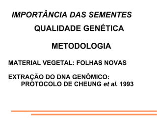 IMPORTÂNCIA DAS SEMENTES
QUALIDADE GENÉTICA
METODOLOGIA
MATERIAL VEGETAL: FOLHAS NOVAS
EXTRAÇÃO DO DNA GENÔMICO:
PROTOCOLO DE CHEUNG et al. 1993
 