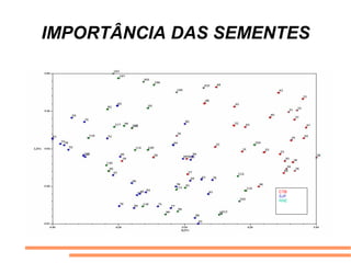 IMPORTÂNCIA DAS SEMENTES
CTB
SJP
RNE
 