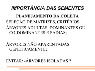 IMPORTÂNCIA DAS SEMENTES
PLANEJAMENTO DA COLETA
SELEÇÃO DE MATRIZES, CRITÉRIOS
ÁRVORES ADULTAS, DOMINANTES OU
CO-DOMINANTES E SADIAS;
ÁRVORES NÃO APARENTADAS
GENETICAMENTE;
EVITAR: -ÁRVORES ISOLADAS ?
 