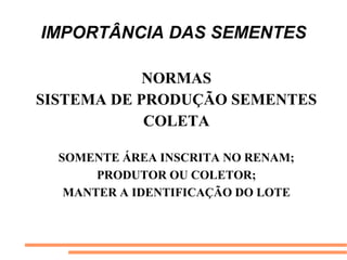 IMPORTÂNCIA DAS SEMENTES
NORMAS
SISTEMA DE PRODUÇÃO SEMENTES
COLETA
SOMENTE ÁREA INSCRITA NO RENAM;
PRODUTOR OU COLETOR;
MANTER A IDENTIFICAÇÃO DO LOTE
 