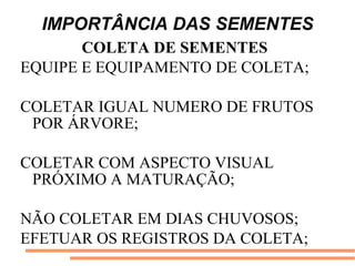 IMPORTÂNCIA DAS SEMENTES
COLETA DE SEMENTES
EQUIPE E EQUIPAMENTO DE COLETA;
COLETAR IGUAL NUMERO DE FRUTOS
POR ÁRVORE;
COLETAR COM ASPECTO VISUAL
PRÓXIMO A MATURAÇÃO;
NÃO COLETAR EM DIAS CHUVOSOS;
EFETUAR OS REGISTROS DA COLETA;
 