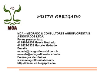 MUITO OBRIGADO
MCA – MEDRADO & CONSULTORES AGROFLORESTAIS
ASSOCIADOS LTDA.
Fones para contato:
41 9198-6256 Moacir Medrado
41 9929-2332 Marcelo Medrado
E-mails
moacir@mcagroflorestal.com.br;
marcelo@mcagroflorestal.com.br
Endereços eletrônicos
www.mcagroflorestal.com.br
http://ldinamica.blogspot.com
 
