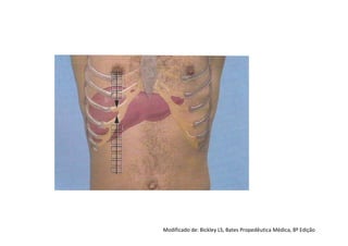 Modificado de: Bickley LS, Bates Propedêutica Médica, 8º Edição
 