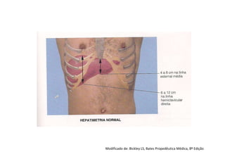 Modificado de: Bickley LS, Bates Propedêutica Médica, 8º Edição
 
