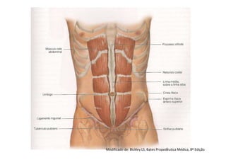 Modificado de: Bickley LS, Bates Propedêutica Médica, 8º Edição
 
