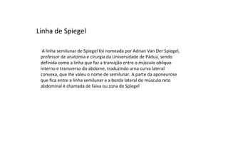 Linha de Spiegel

  A linha semilunar de Spiegel foi nomeada por Adrian Van Der Spiegel,
 professor de anatomia e cirurgia da Universidade de Pádua, sendo
 definida como a linha que faz a transição entre o músculo oblíquo
 interno e transverso do abdome, traduzindo urna curva lateral
 convexa, que Ihe valeu o nome de semilunar. A parte da aponeurose
 que fica entre a linha semilunar e a borda lateral do músculo reto
 abdominal é chamada de faixa ou zona de Spiegel
 