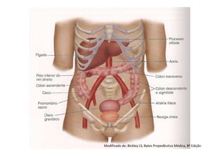 Modificado de: Bickley LS, Bates Propedêutica Médica, 8º Edição
 